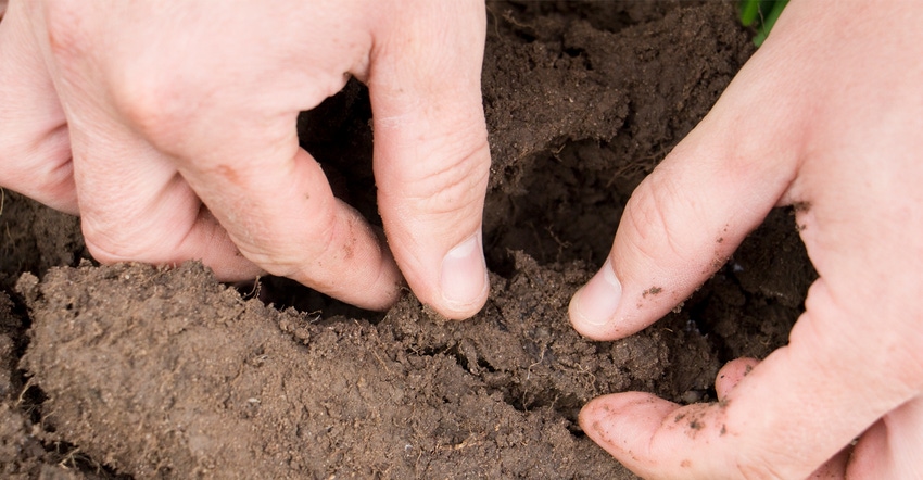 Hands checking soil health