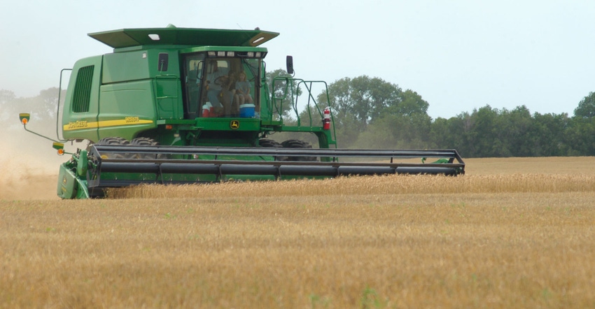 Closeup of combine harvesting wheat crop