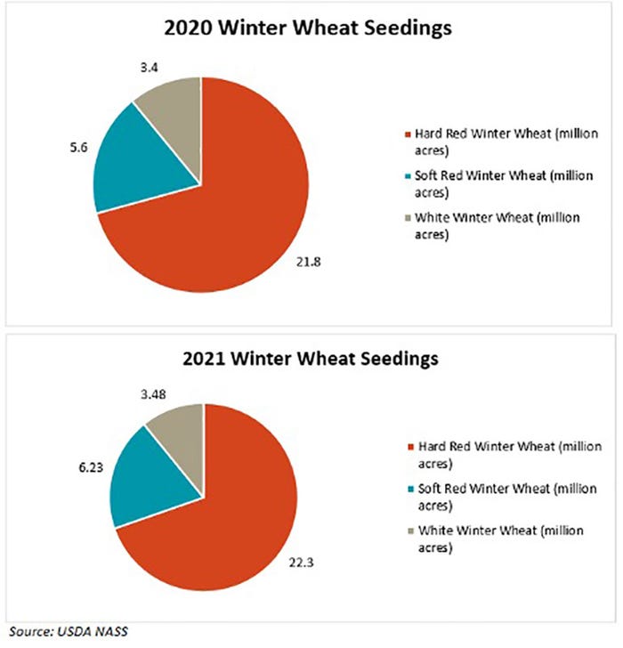 Winter Wheat Seedings