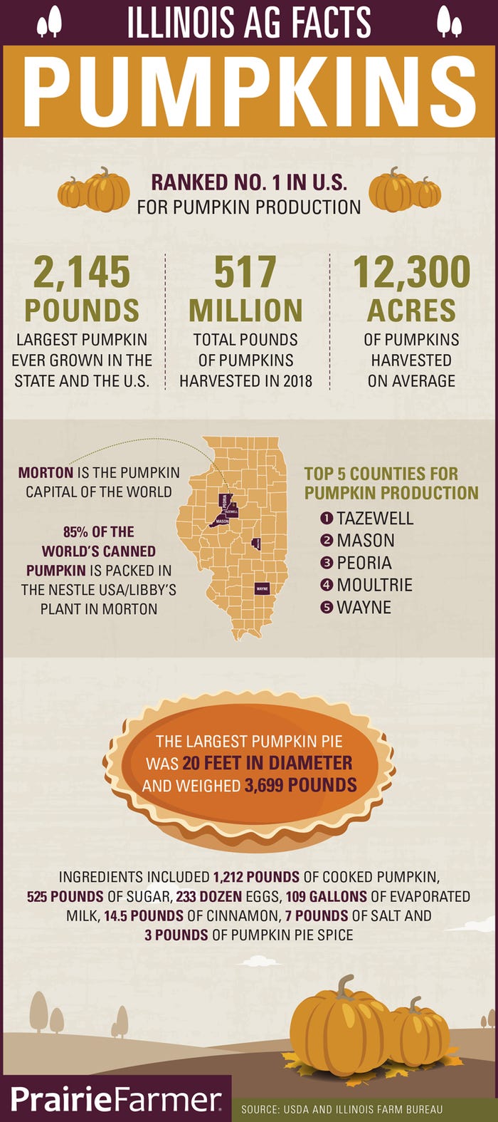 Illinois Ag Facts Pumpkins infographic