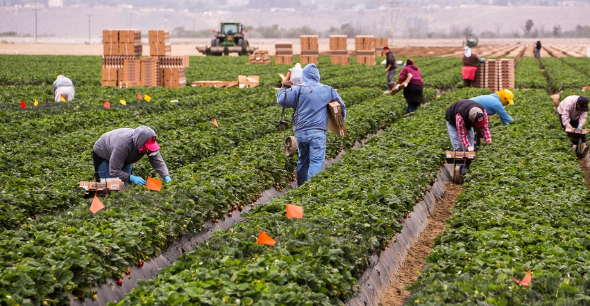 WFP-Todd-Fitchette-Farmworkers-136.jpg WFP-Todd-Fitchette-Farmworkers-136.jpg