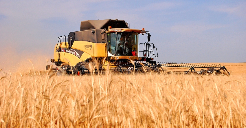 New Holland combine harvesting wheat