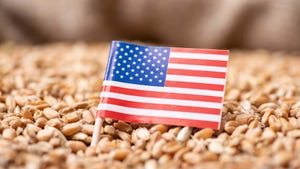 American flag with kernels of wheat