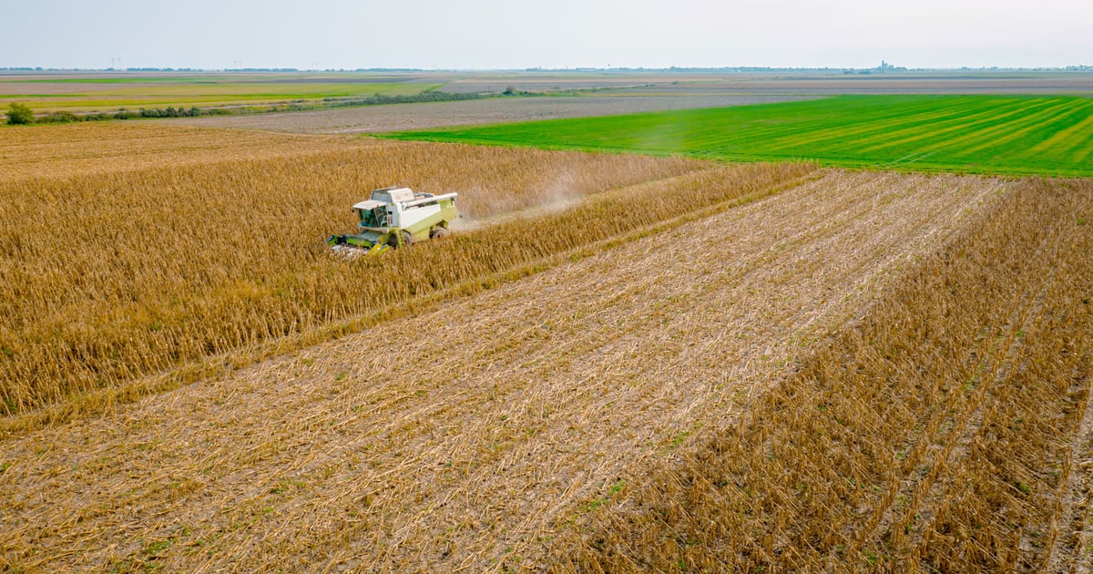 Custom farming rates jump 7% to 10% across major crops