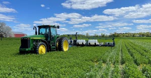 Tractor and planter no-tilling corn into alfalfa