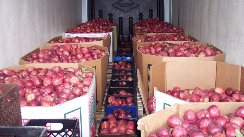 Boxes and crates full of red apples stored inside the back of a truck
