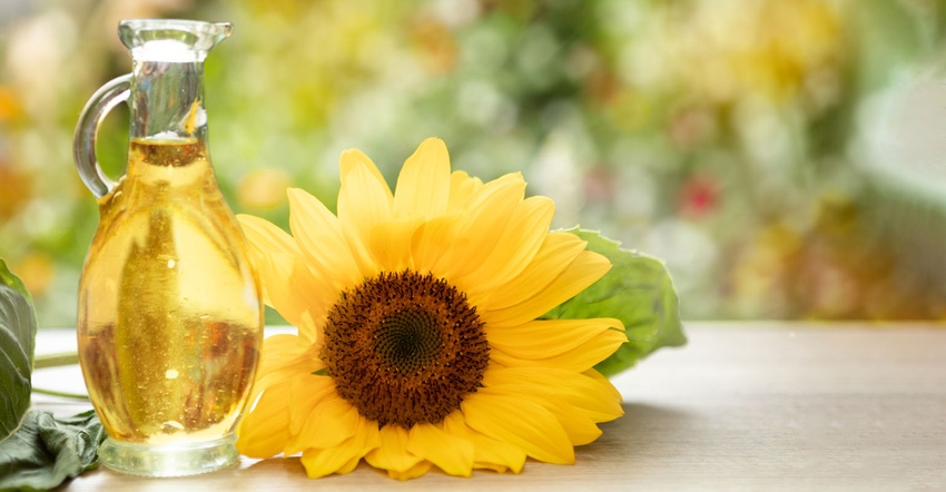 A sunflower sitting on a surface next to a glass container of sunflower oil