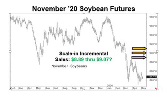 November ’20 Soybean Futures graph