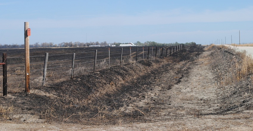 Wildfire burned pasture