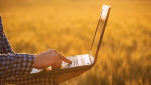 Farmer on laptop in wheat field