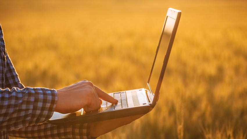 Farmer on laptop in wheat field Farmer on laptop in wheat field