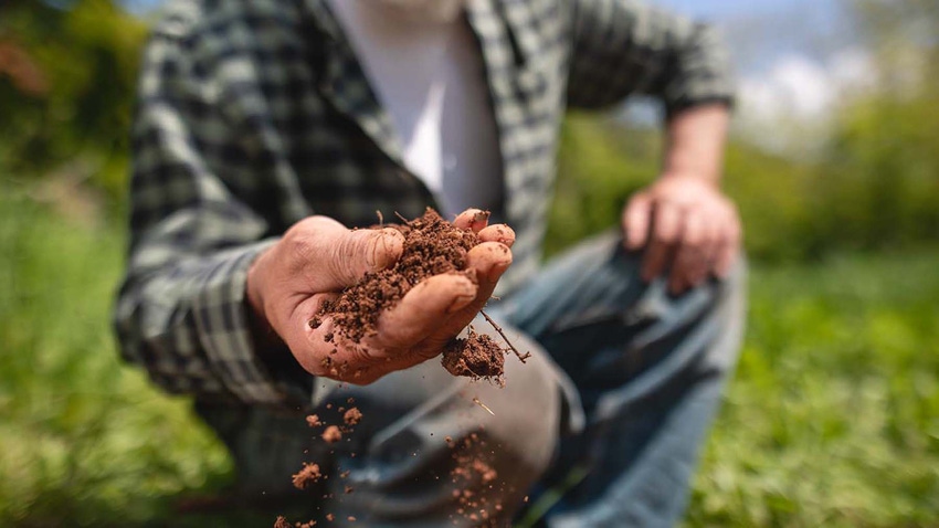 farmer examining soil farmer examining soil