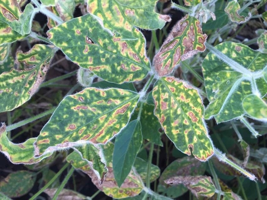 10-26-20 sds 1_0.jpg 10-26-20 sds 1_0.jpg
