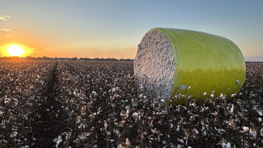 Yellow wrapped round module cotton bale sitting in a picked cotton field with sunset in the background.