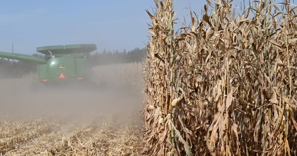 Fall farmland market expected to hold steady