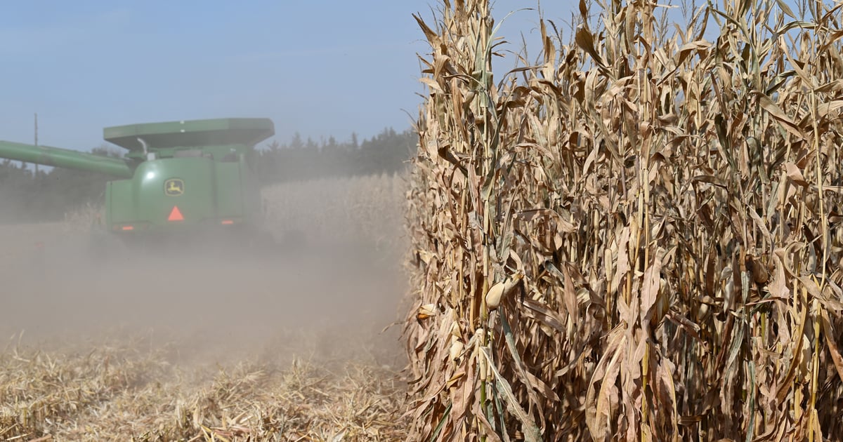 Fall farmland market expected to hold steady