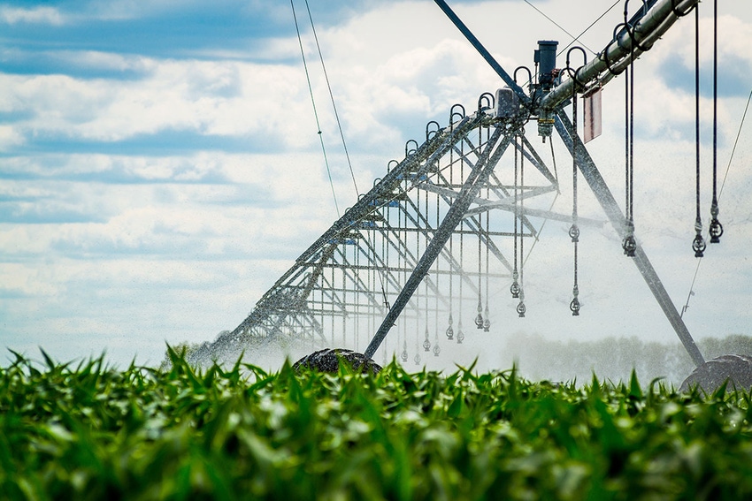 Irrigation pivot watering corn field
