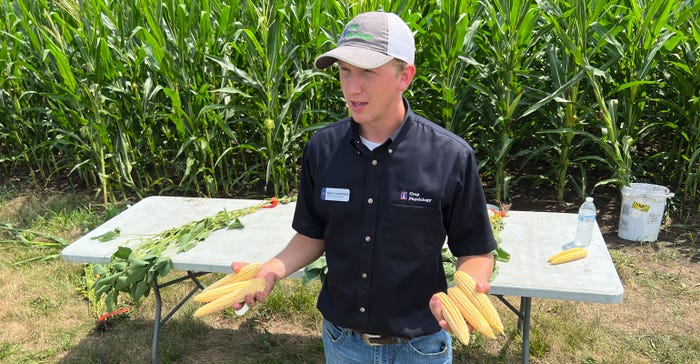 Sam Leskanich, graduate student, University of Illinois, holds ears from two different plots