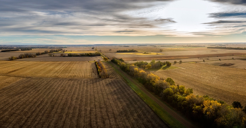 Cropland in fall