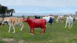Colorful cow sculptures at Tapnell Farm, Isle of Wight