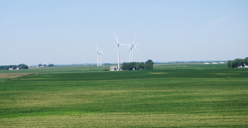 wind turbines in field