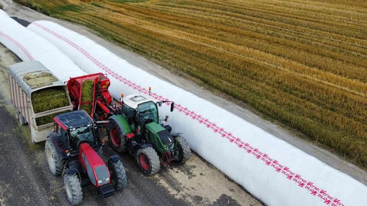 How bagged silage can lead to better herd health