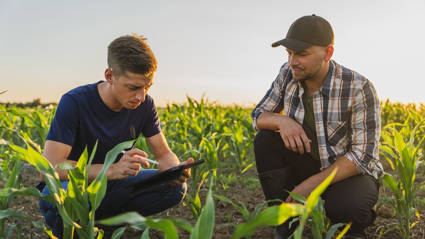 Two young men kneeling in corn field