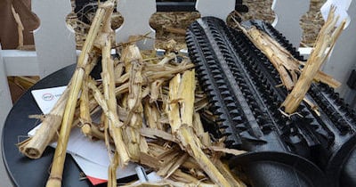 New stalk rolls crimp stalks for faster fall breakdown