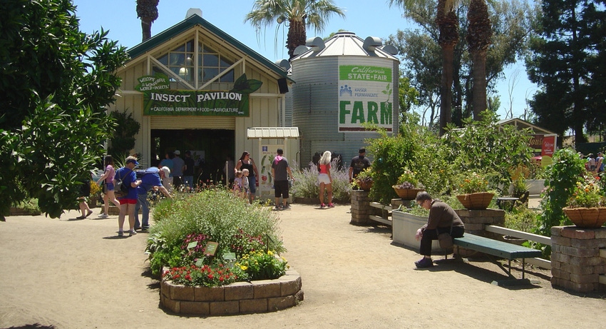 California State Fair farm