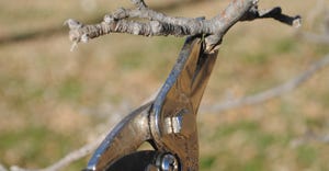 Pruning sheers and branch