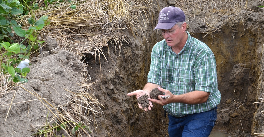 Barry Fisher in soil pit holding sample in hand