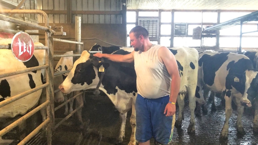 Kyle Thompson petting one of his dairy cows