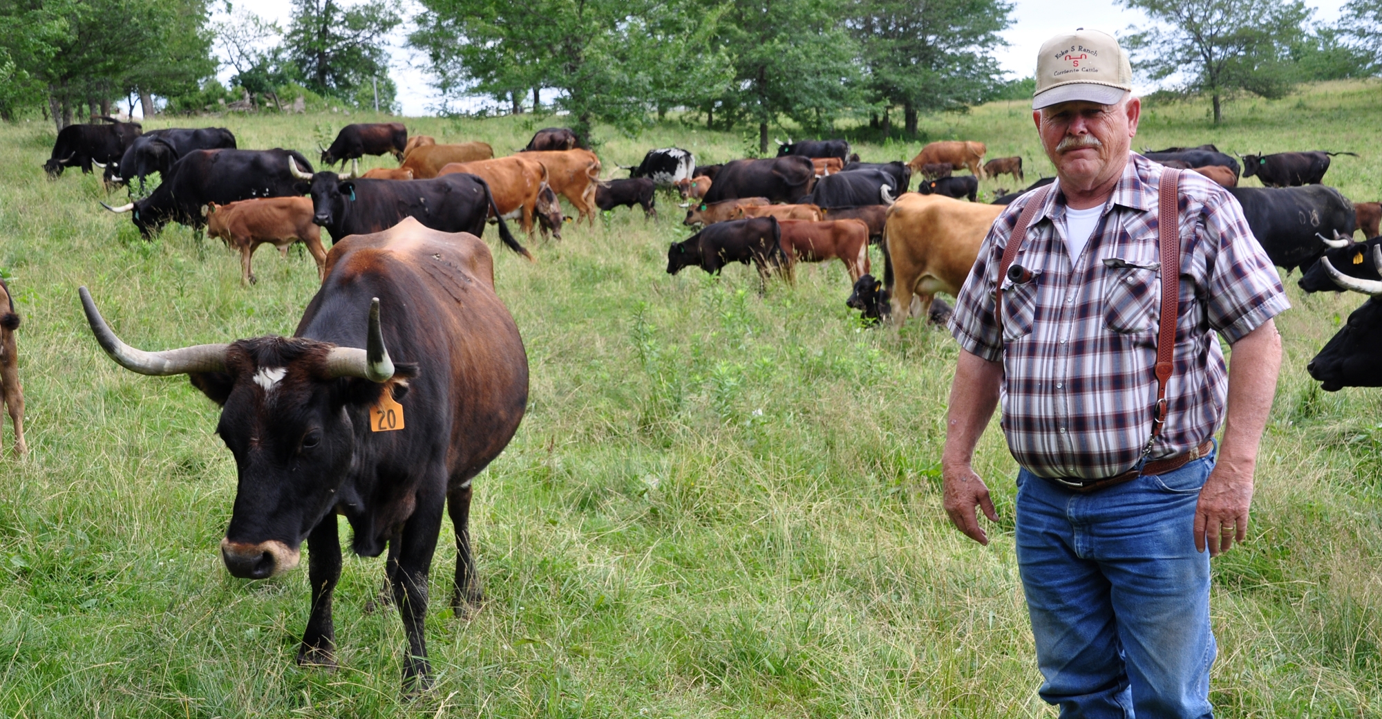 Corriente cattle: A unique breed | Farm Progress
