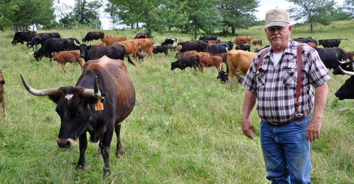 Rick Schlutz  with Corriente cows in field