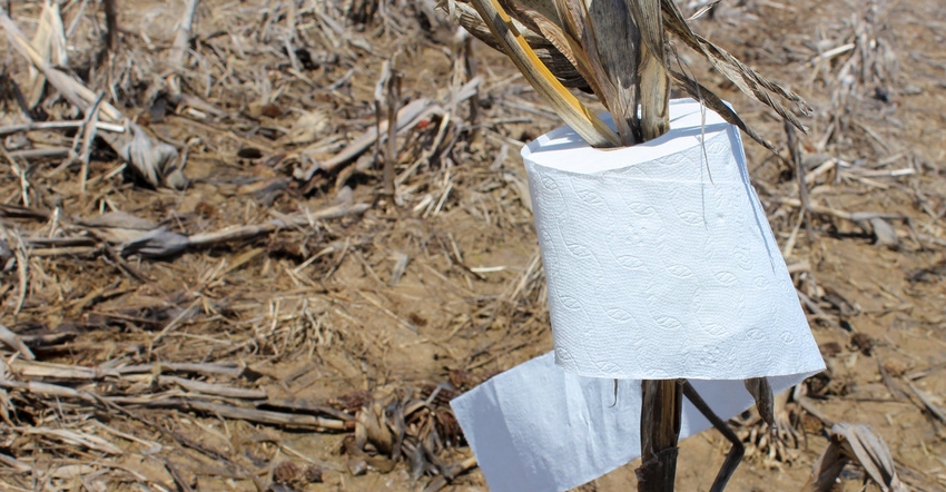 Toilet paper roll sitting on a crop