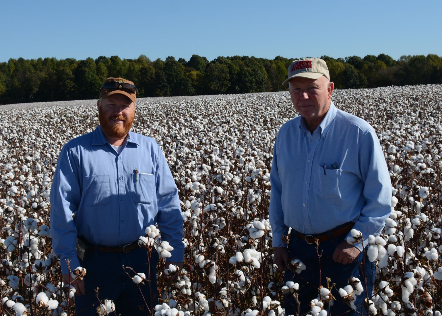 Prospect of delayed cotton sowing unnerves farmers - Business