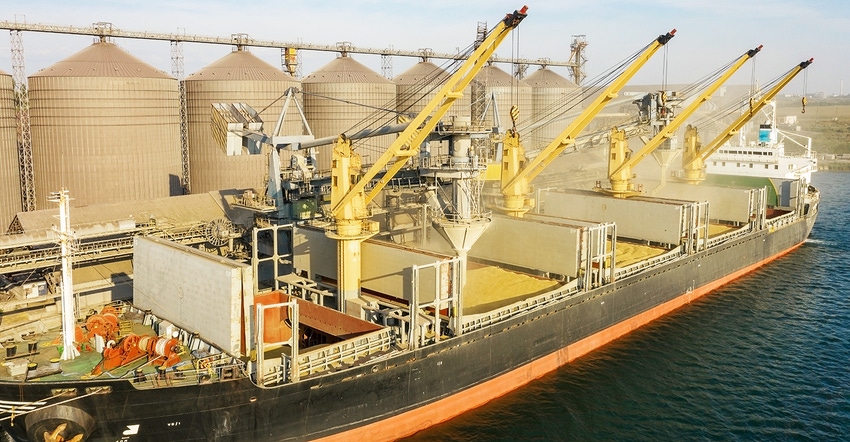 Loading grain into holds of ship