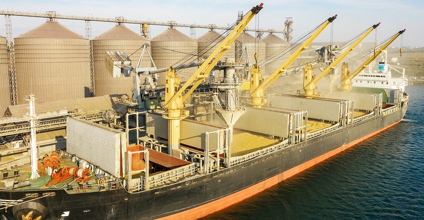 Loading grain into holds of ship Loading grain into holds of ship