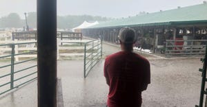 farmer looking out at rain drenched livestock pens and farm buildings