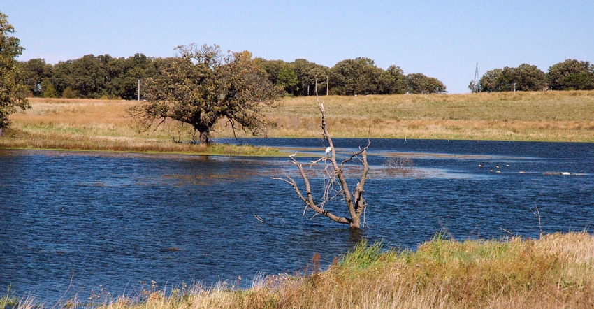 Iowa wetland