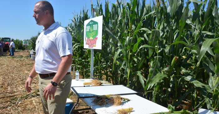 Agco precision planting technician Ivan Lentsch shows the difference in plant health as evidenced by root structure between r