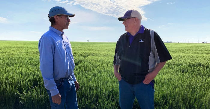 Stewart Whitham, left, talks with Kansas Wheat CEO Justin Gilpin at the edge of his field of Joe, a white winter wheat