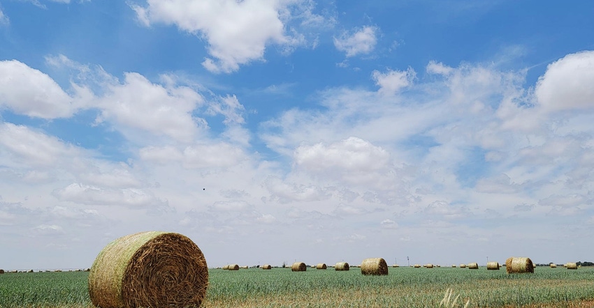 swfp-shelley-huguley-hay-clouds-21.jpg swfp-shelley-huguley-hay-clouds-21.jpg