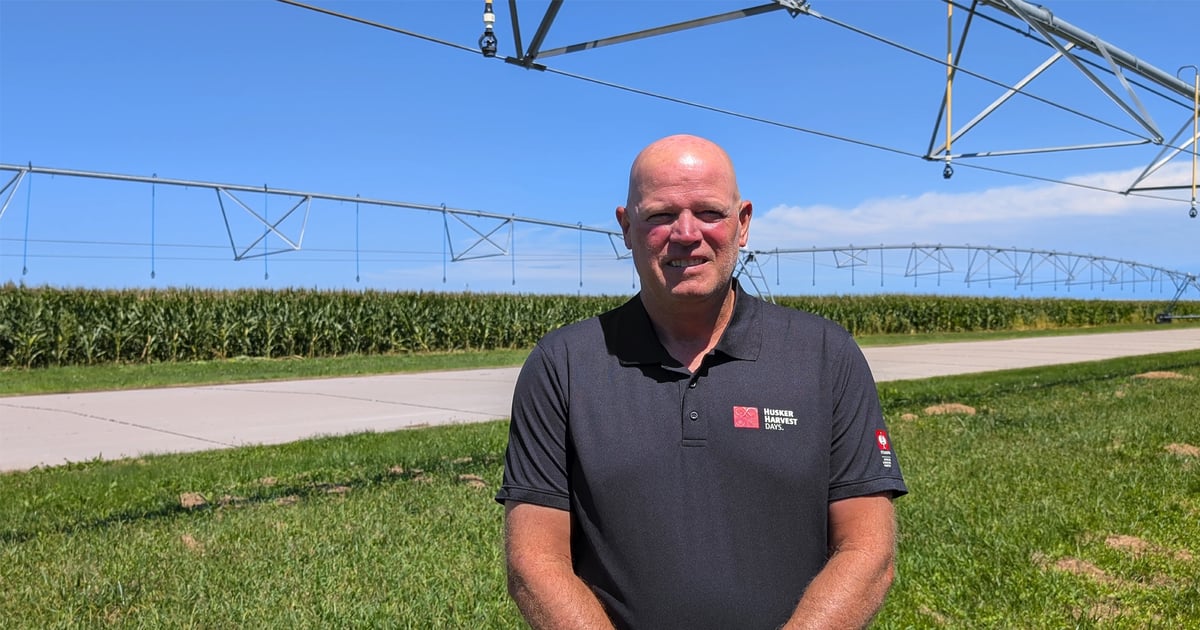 Corn harvest demonstration fields ready for HHD
