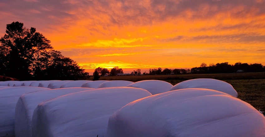 orange and purple sunset over round hay bales