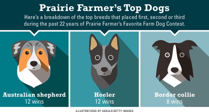 Prairie Farmer favorite farm dog infographic