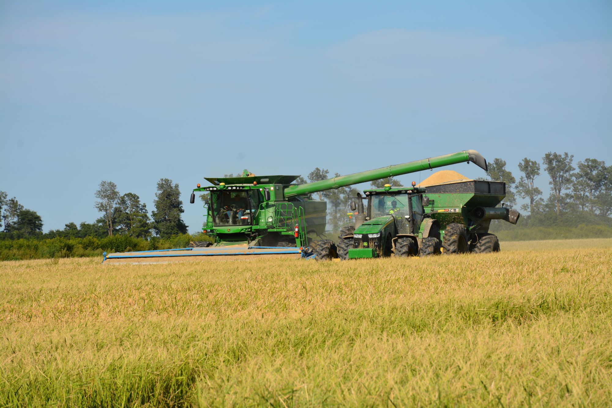 Changing of the guard as USA Rice elects news leadership - Rice Farming