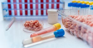 Food quality control concept, artificial meat and test tube vials in a laboratory