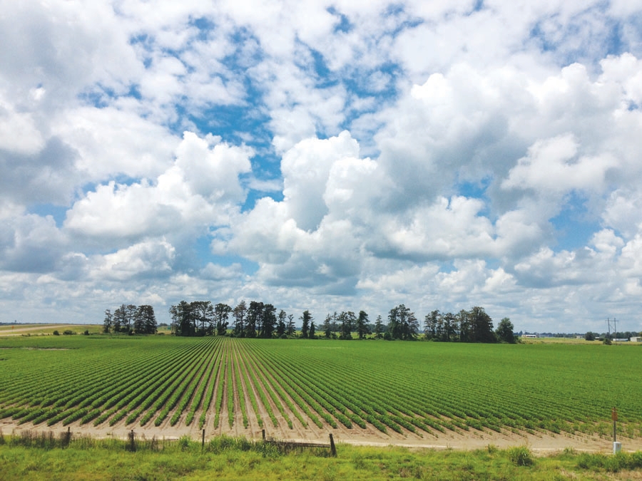 Despite downturn, values of quality farmland remain high