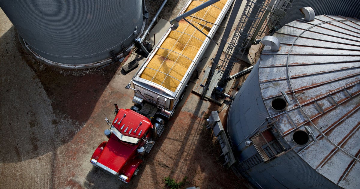 USDA supply shocker knocks corn off $5 perch — for now